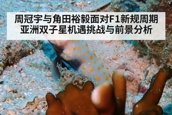 周冠宇与角田裕毅面对F1新规周期 亚洲双子星机遇挑战与前景分析