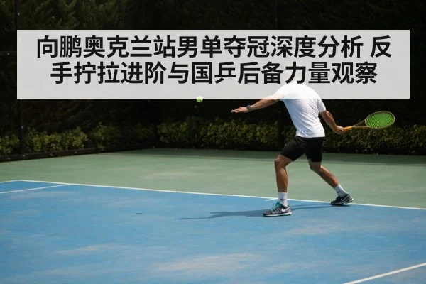 向鹏奥克兰站男单夺冠深度分析 反手拧拉进阶与国乒后备力量观察